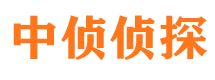 武定市侦探公司